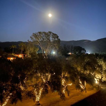 Santa Magdala Hotel Boutique Ensenada Bagian luar foto