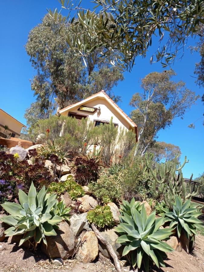 Santa Magdala Hotel Boutique Ensenada Bagian luar foto